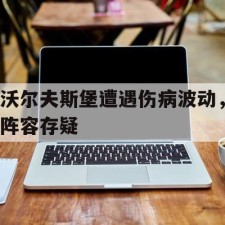 爱游戏中国-沃尔夫斯堡遭遇伤病波动，阵容存疑()