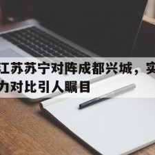 爱游戏-苏宁 四川
