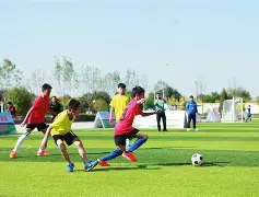 爱游戏体育-争夺积分榜前列位置，球队展开激烈角逐！()  第2张